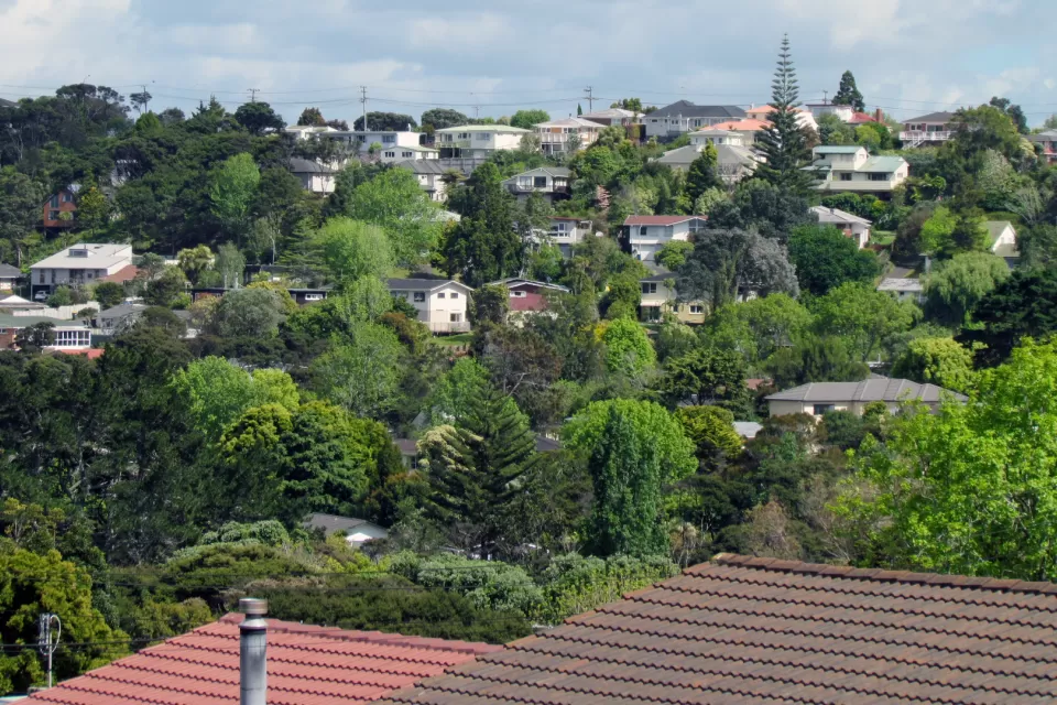 Single-Family Neighborhood